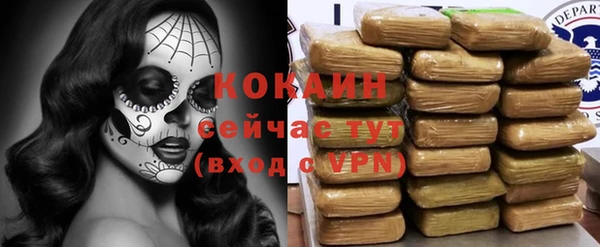 индика Покачи