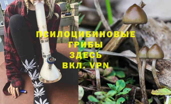 тгк Арсеньев